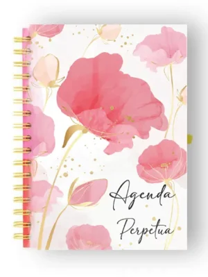 prueba journal bullet
